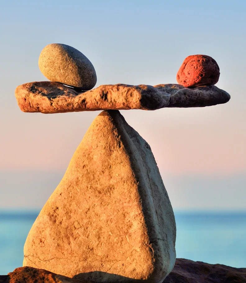wellness care in Fremont CA